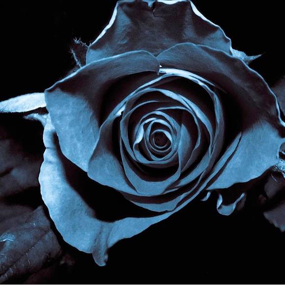 Meet your Posher, Christina - Picture 1 of 1